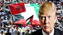 "ليس رئيسًا بل تاجر صفقات".. مغاربة يهاجمون ترامب بسبب تهجير الفلسطينيين